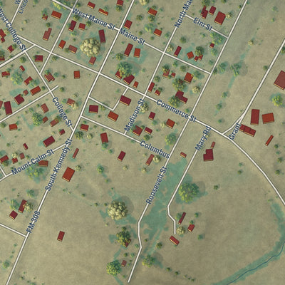Close-up of the map of Penelope, Texas print showing street and building detail