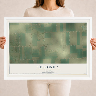 Map of Petronila, Texas, 18 x 24 inch print in a white wood frame