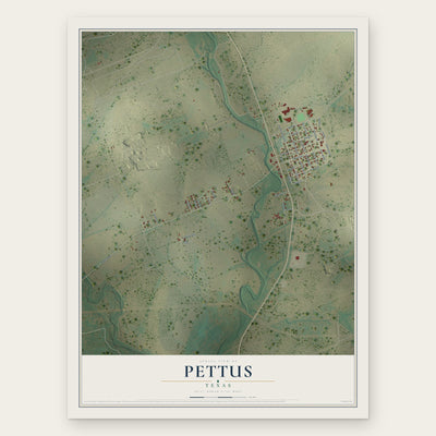 Pettus, Texas map print, the full design