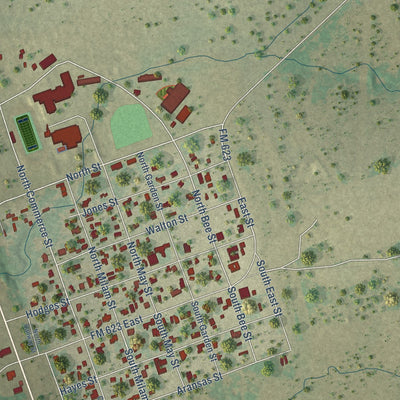 Close-up of the map of Pettus, Texas print showing street and building detail