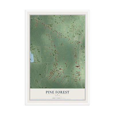 Map of Pine Forest, Texas, 12 x 18 inch print in a white wood frame