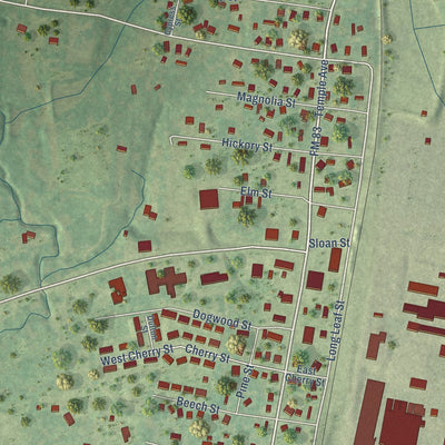 Close-up of the map of Pineland, Texas print showing street and building detail