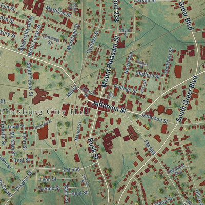 Close-up of the map of Pittsburg, Texas print showing street and building detail