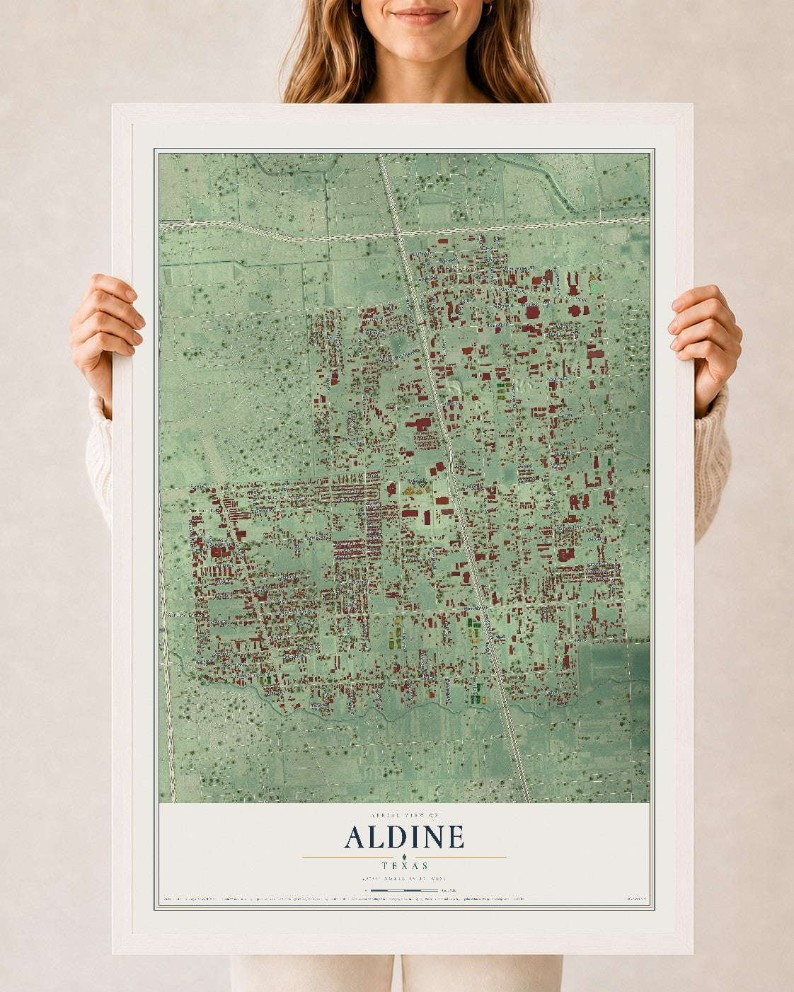 Map of Aldine, Texas, 24 x 36 inch print in a white wood frame