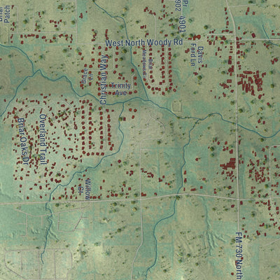 Second close-up of the map of Briar, Texas print showing more streets and buildings
