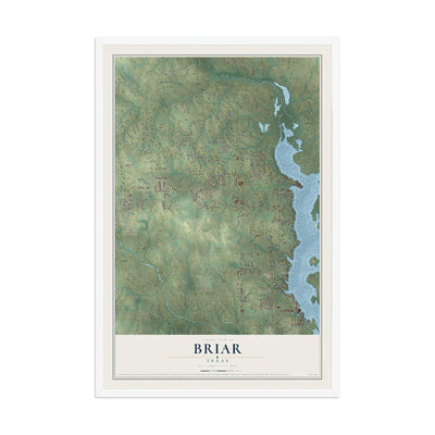 Map of Briar, Texas, 12 x 18 inch print in a white wood frame