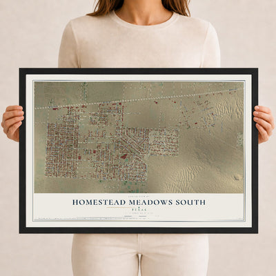 Map of Homestead Meadows South, Texas, 12 x 18 inch print in a black wood frame
