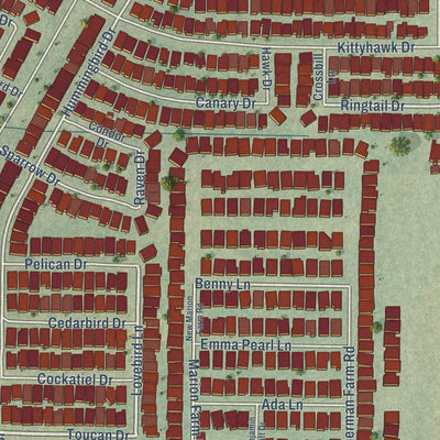 Close-up of the map of Paloma Creek South, Texas print showing street and building detail