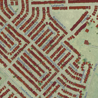 Close-up of the map of Travis Ranch, Texas print showing street and building detail