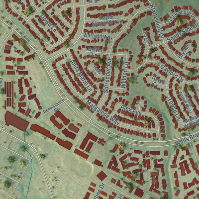 Close-up of the map of Wells Branch, Texas print showing street and building detail
