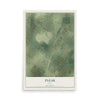 Map of Pleak, Texas, 12 x 18 inch unframed archival matte print