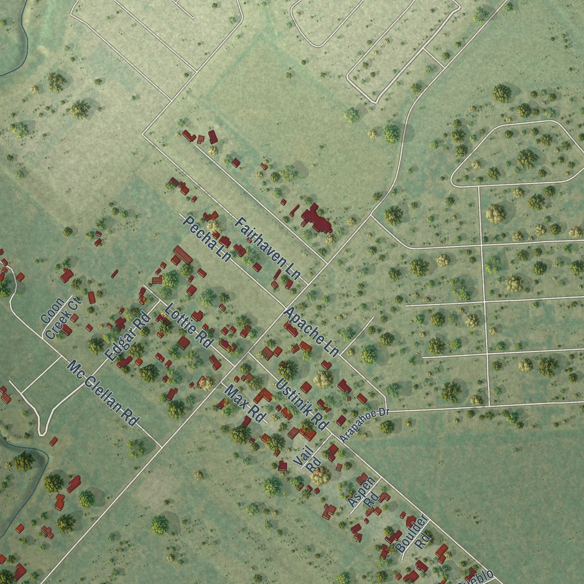 Close-up of the map of Pleak, Texas print showing street and building detail