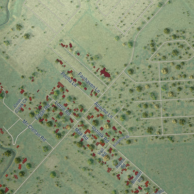 Close-up of the map of Pleak, Texas print showing street and building detail