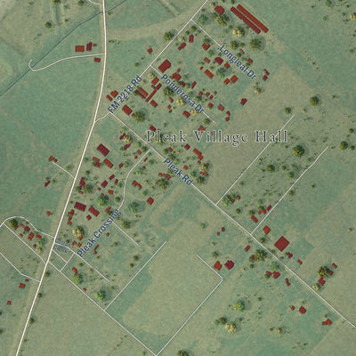 Second close-up of the map of Pleak, Texas print showing more streets and buildings