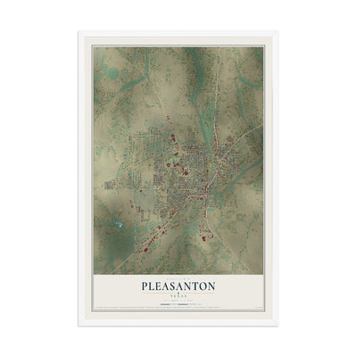 Map of Pleasanton, Texas, 12 x 18 inch print in a white wood frame