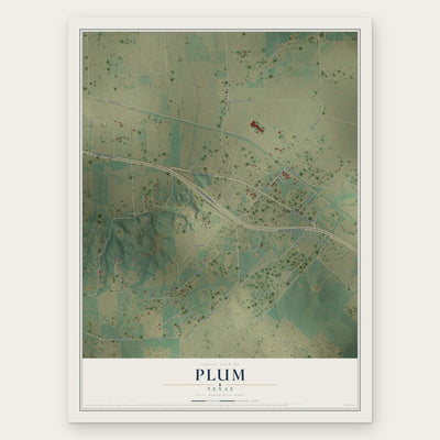 Plum, Texas map print, the full design