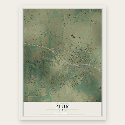 Plum, Texas map print, the full design
