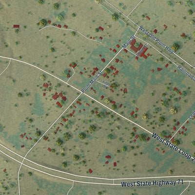 Close-up of the map of Plum, Texas print showing street and building detail