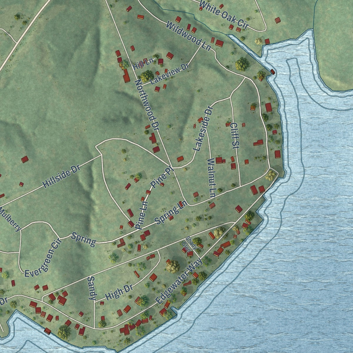 Second close-up of the map of Point Blank, Texas print showing more streets and buildings
