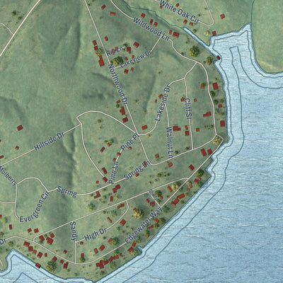 Second close-up of the map of Point Blank, Texas print showing more streets and buildings