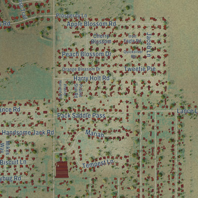 Close-up of the map of Potosi, Texas print showing street and building detail