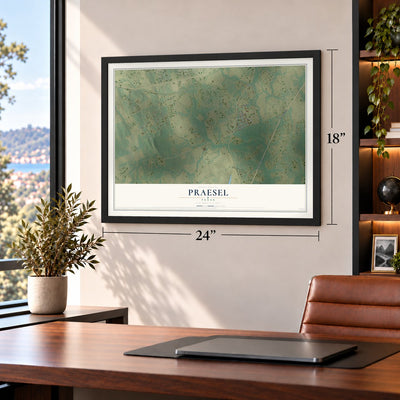 Praesel, Texas map, 18 x 24 inch print in a black frame in a home office