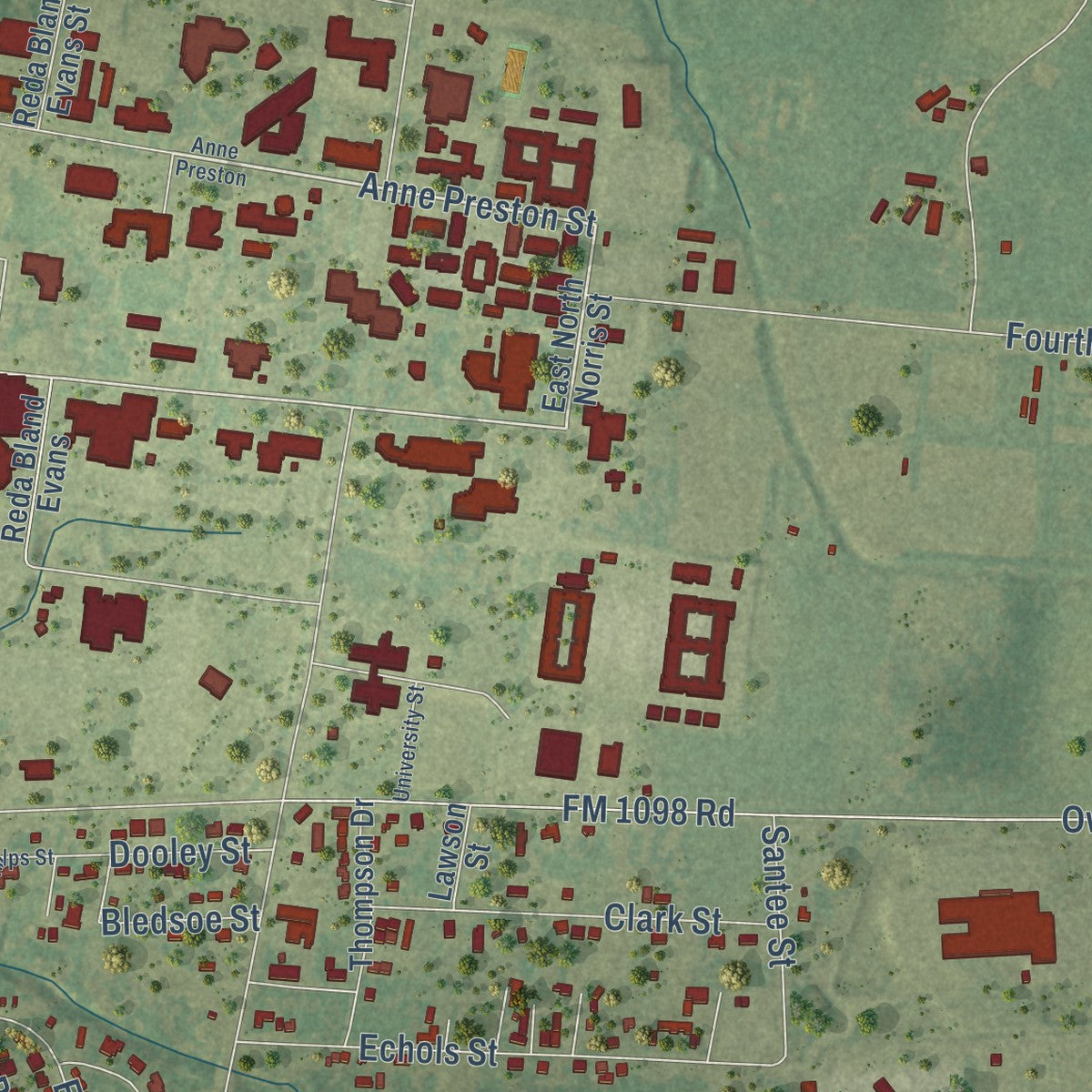 Close-up of the map of Prairie View, Texas print showing street and building detail