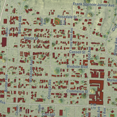Second close-up of the map of Presidio, Texas print showing more streets and buildings