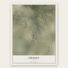 Priddy, Texas map print, the full design