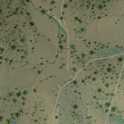 Close-up of the map of Priddy, Texas print showing street and building detail