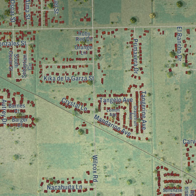Close-up of the map of Primera, Texas print showing street and building detail