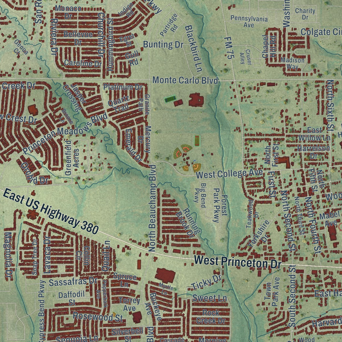 Close-up of the map of Princeton, Texas print showing street and building detail