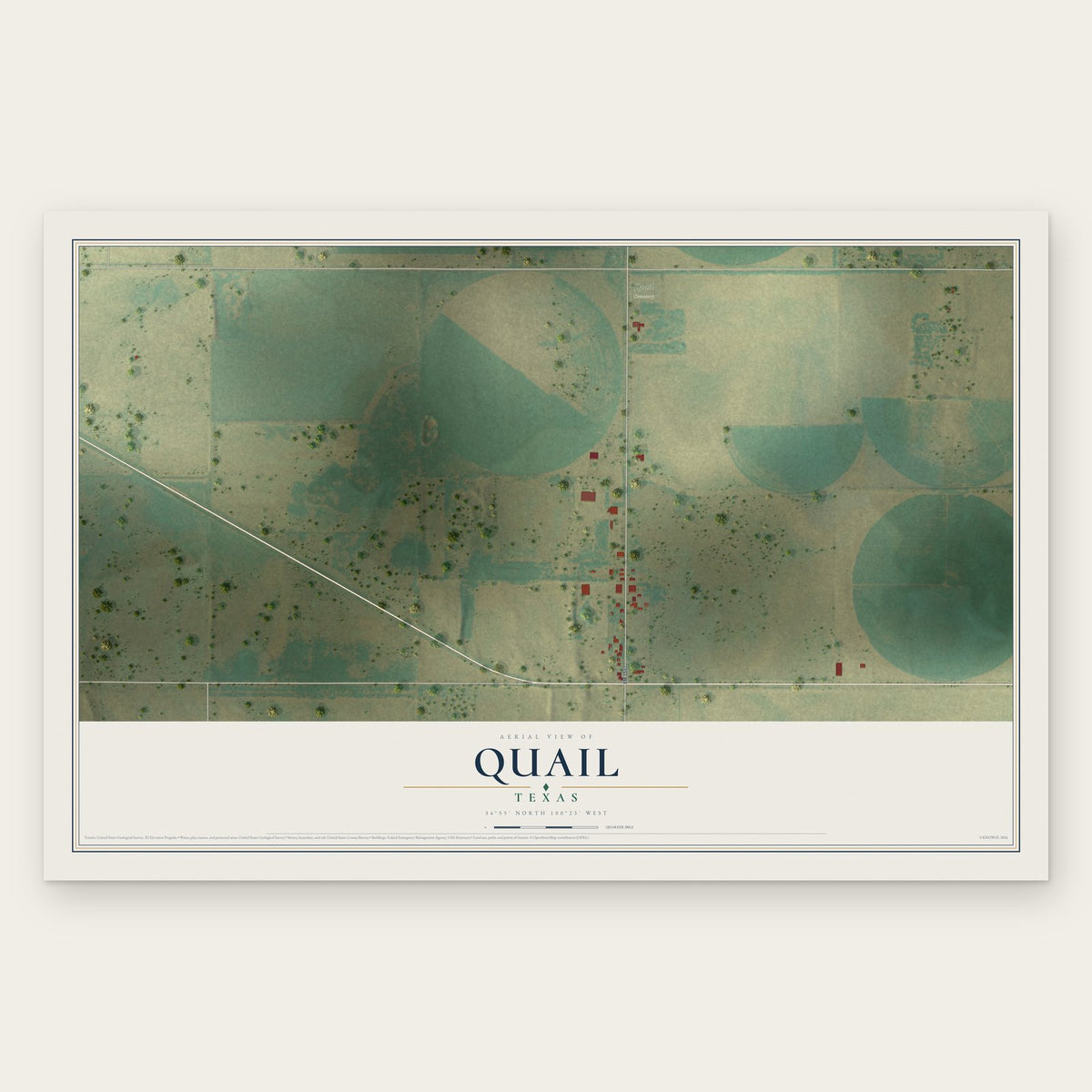 Quail, Texas map print, the full design