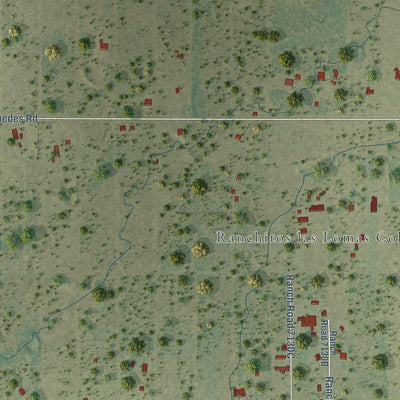 Close-up of the map of Ranchitos Las Lomas, Texas print showing street and building detail