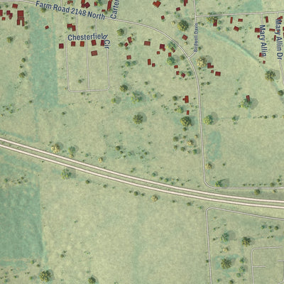 Second close-up of the map of Red Lick, Texas print showing more streets and buildings