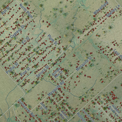 Close-up of the map of Redwood, Texas print showing street and building detail