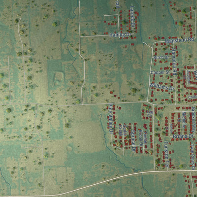 Second close-up of the map of Reno, Lamar County, Texas print showing more streets and buildings