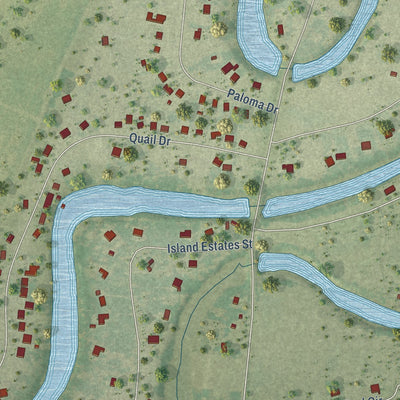 Close-up of the map of Rice Tracts, Texas print showing street and building detail