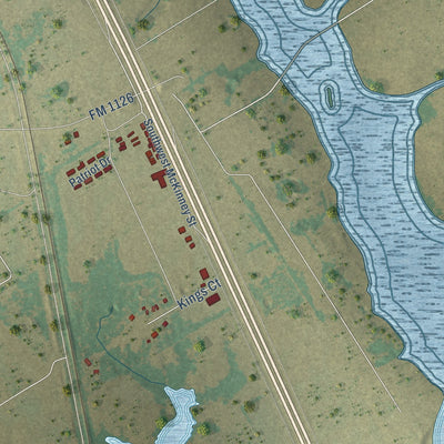 Close-up of the map of Rice, Texas print showing street and building detail