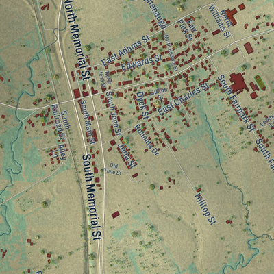 Close-up of the map of Riesel, Texas print showing street and building detail