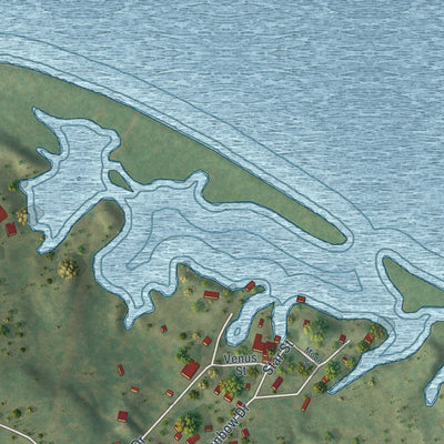 Close-up of the map of Riverside, Texas print showing street and building detail