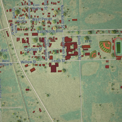 Close-up of the map of Riviera, Texas print showing street and building detail