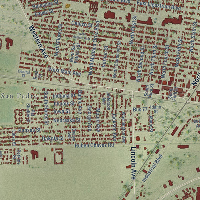Close-up of the map of Robstown, Texas print showing street and building detail