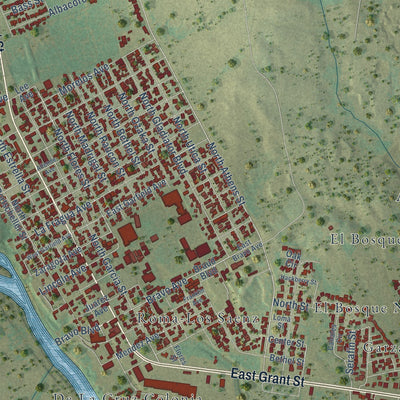 Close-up of the map of Roma, Texas print showing street and building detail