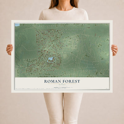 Map of Roman Forest, Texas, 24 x 36 inch unframed archival matte print