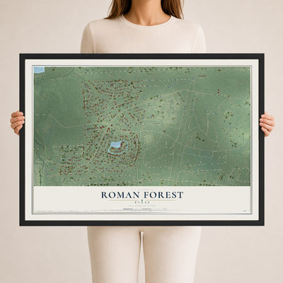 Map of Roman Forest, Texas, 24 x 36 inch print in a black wood frame