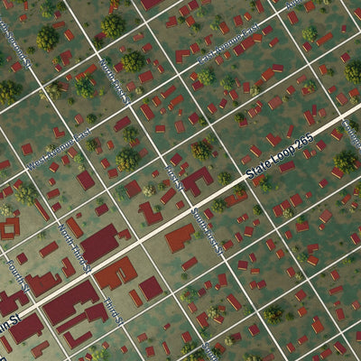 Close-up of the map of Rosebud, Texas print showing street and building detail