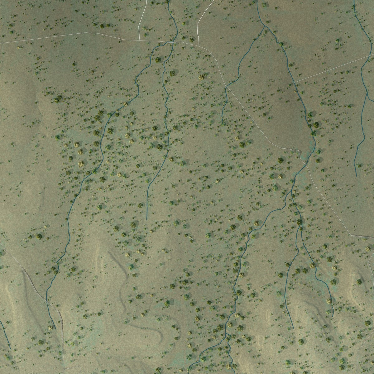 Second close-up of the map of Round Mountain, Texas print showing more streets and buildings