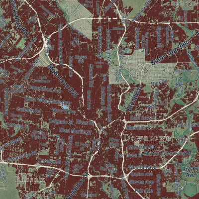 Close-up of the map of San Antonio, Texas print showing street and building detail