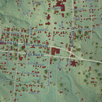 Close-up of the map of San Augustine, Texas print showing street and building detail